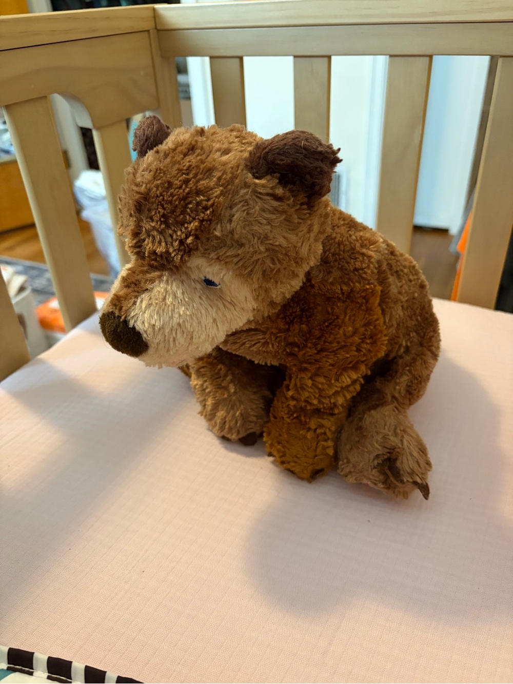 Plush Brown Bear Eric Carle